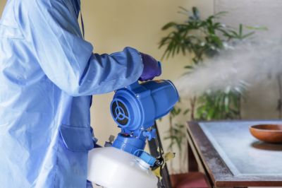 Fumigation Service in Santa Fe, NM