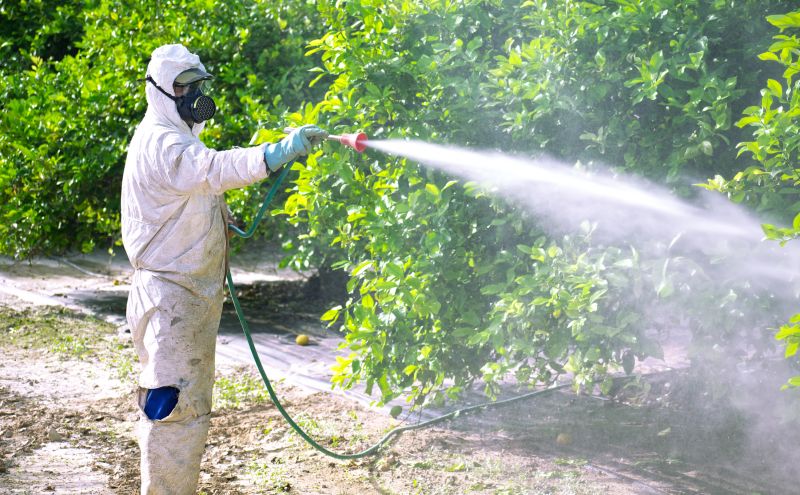 Fumigation Service in Naperville, IL