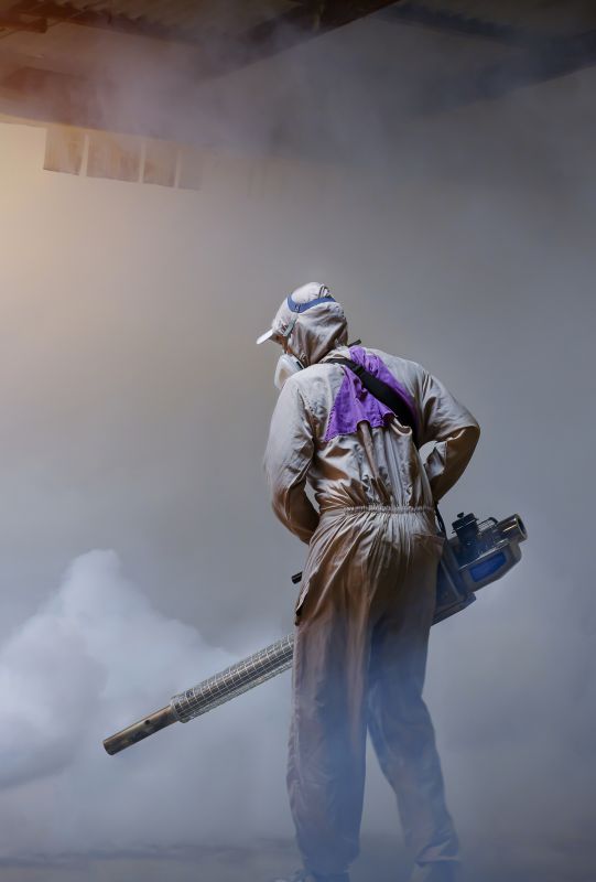 Spider Fumigation Service in Madison, WI