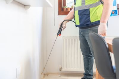 Ants Extermination Service in Arlington, TX