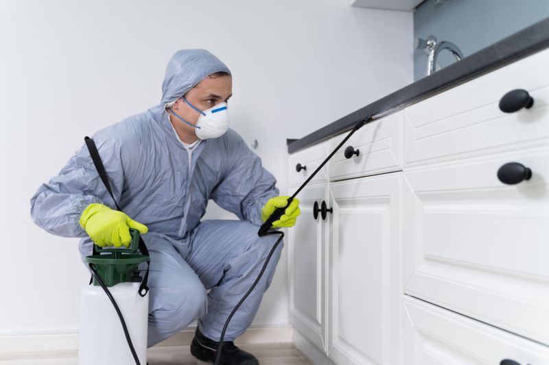 Bug Removal Service in Frisco, TX