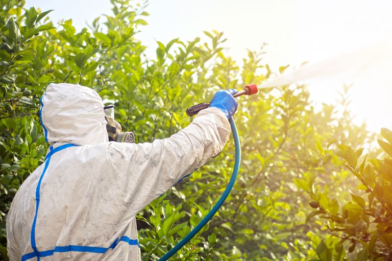 Commercial Fumigation in Katy, TX