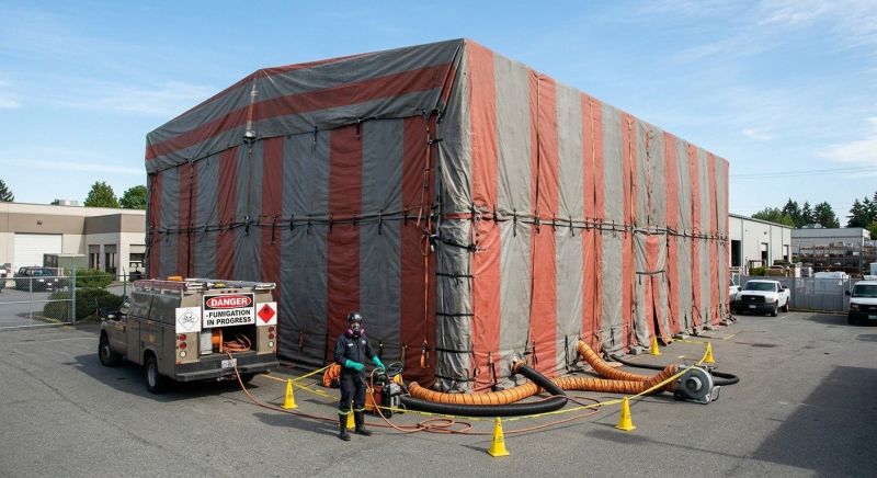 Commercial Fumigation in Marietta, GA