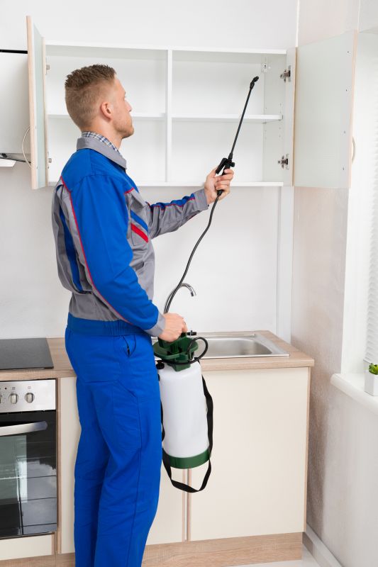 Insect Control Service in Arlington, TX