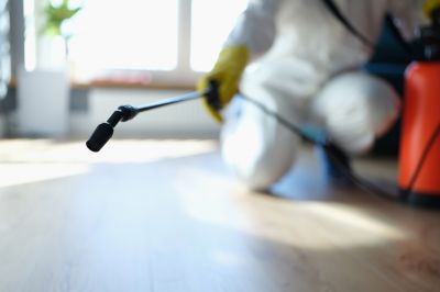Pest Fumigation Service in Winston Salem, NC