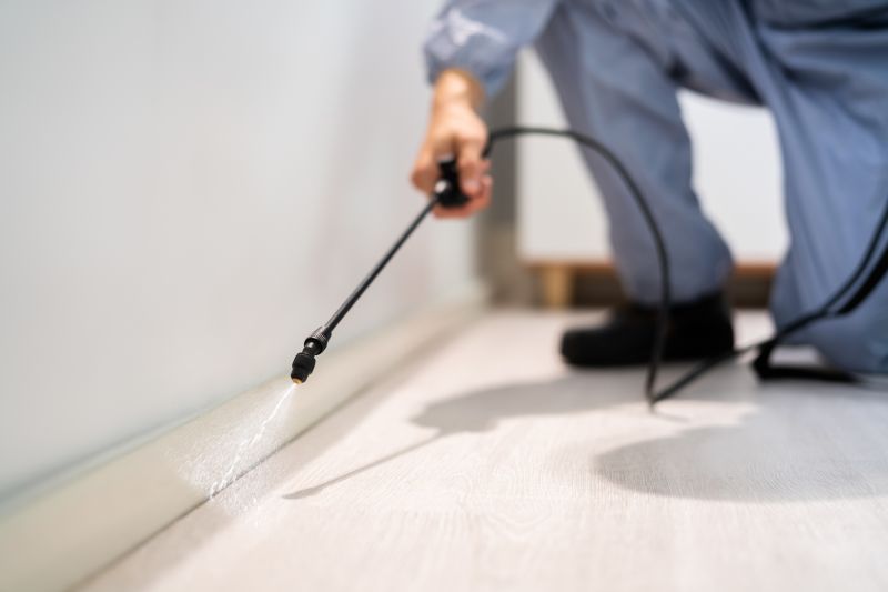 Pest Inspection Service in Frisco, TX