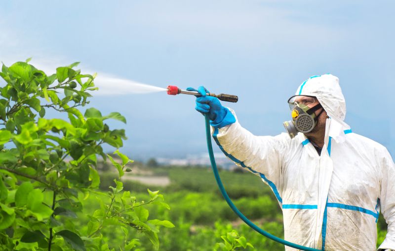 Roach Fumigation in Wilmington, DE