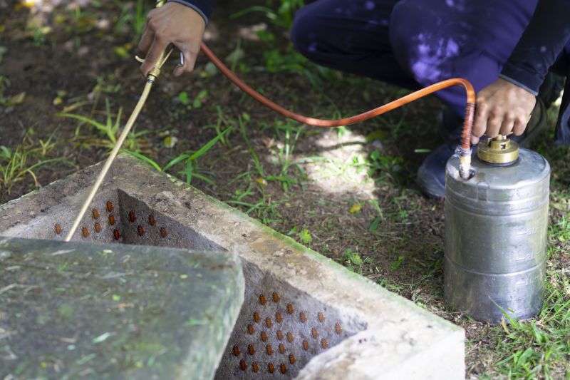 Roach Fumigation in Toledo, OH