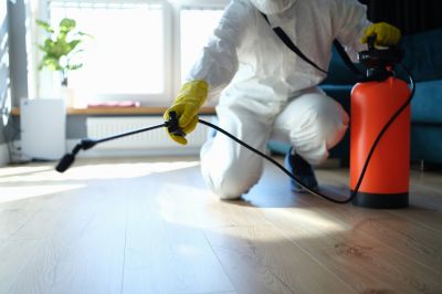 Spider Control Service in Fort Worth, TX
