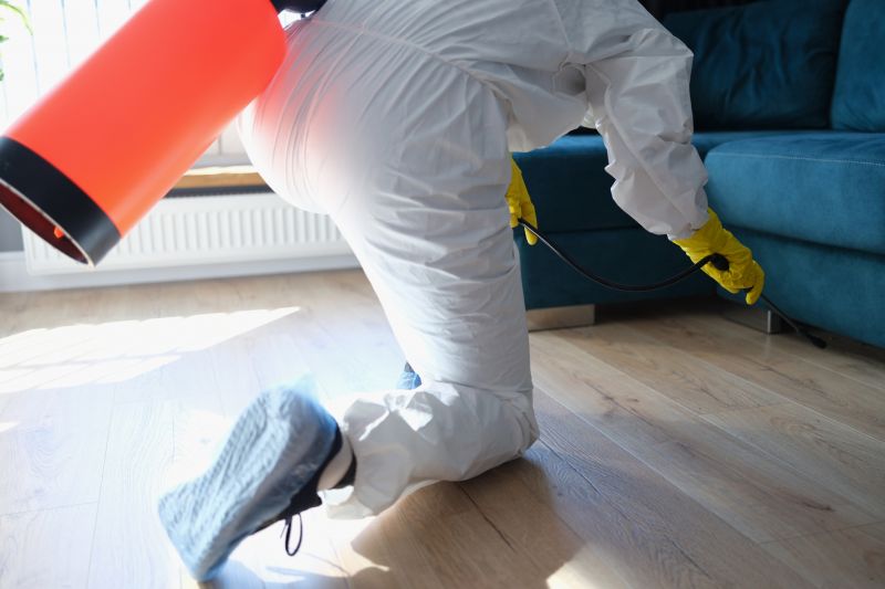 Spider Fumigation Service in Clarksville, TN