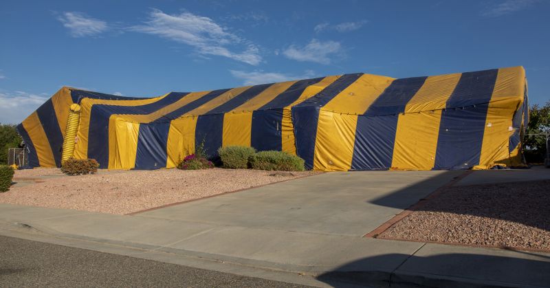 Tent Fumigation in Wilmington, DE