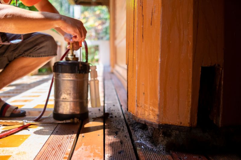 Termite Infestation Service in Frisco, TX