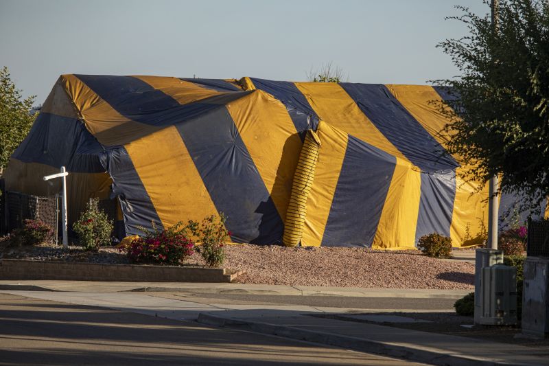 Termite Tenting in Toledo, OH